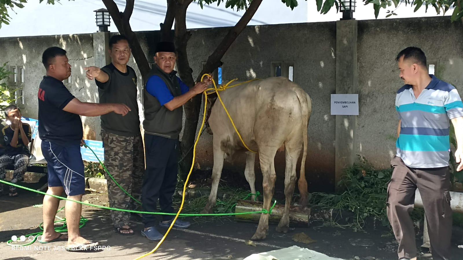 BLKK-FSPPG KSARBUMUSI dan KOPI Pohon Pisang Mengadakan Pemotongan Hewan Qurban